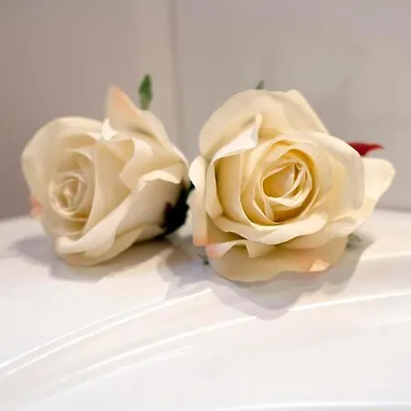 ゲストハウス Ospitalita Collicola 4*