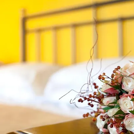 Ospitalita Collicola