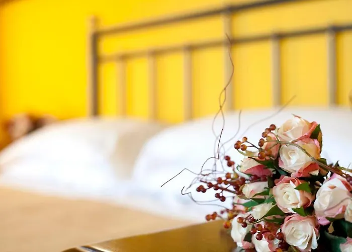 Ospitalita Collicola